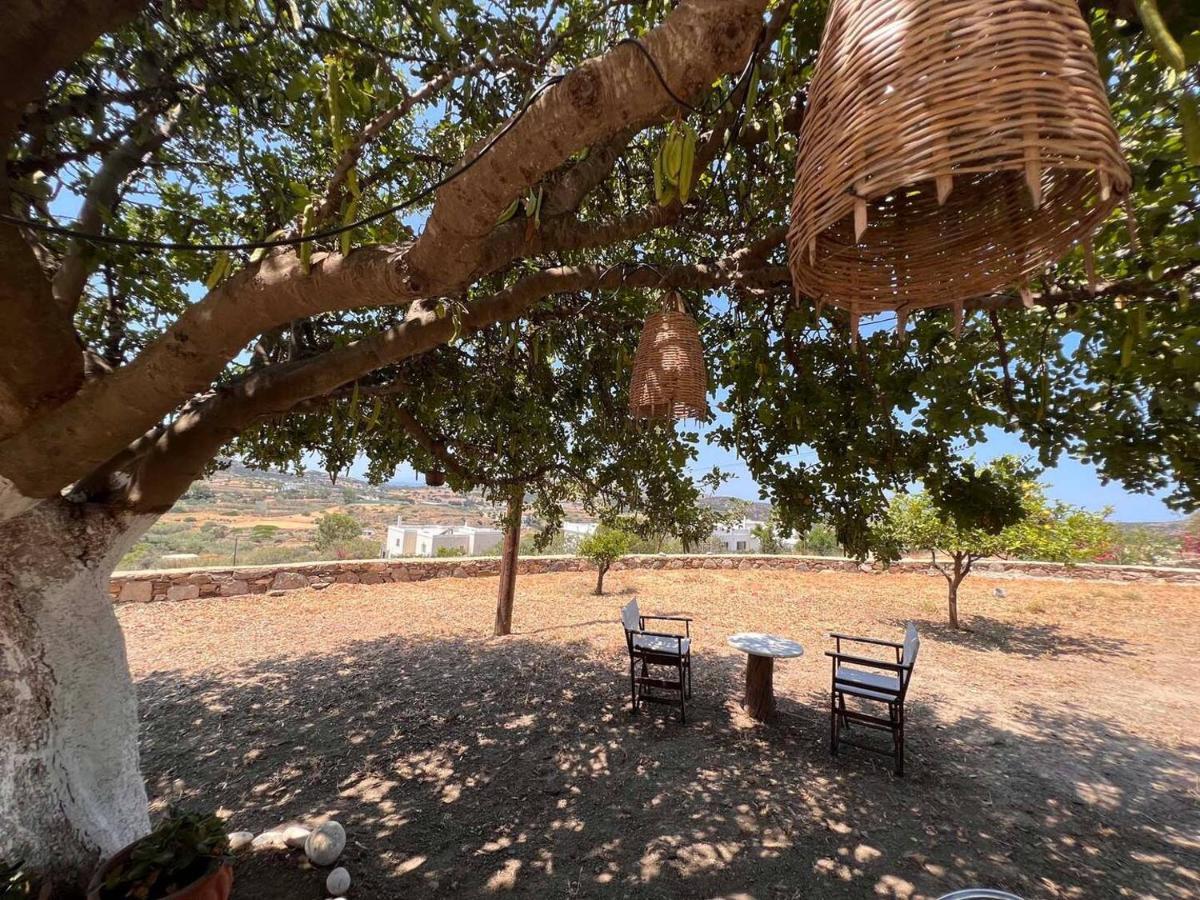Πέτρινο Εξοχικό Σπίτι Στη Σύρο Agros  Esterno foto